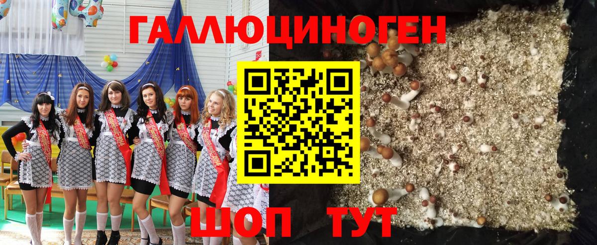 Галлюциногенные грибы Cubensis Татарск